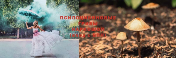 PSILOCYBIN Армянск