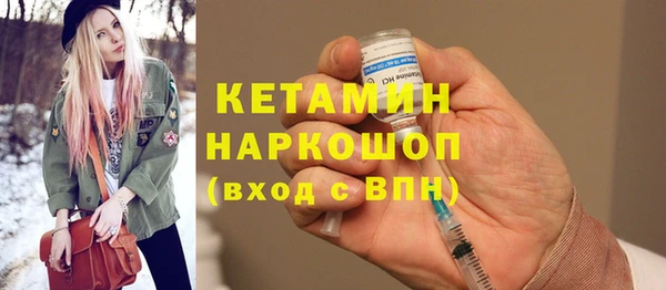 хмурый Аркадак