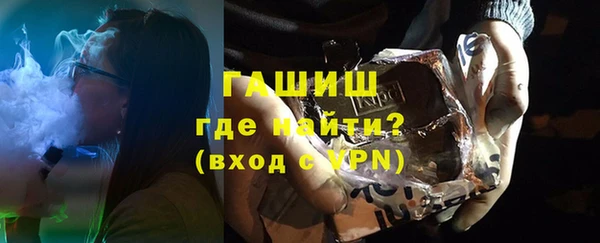 хмурый Аркадак