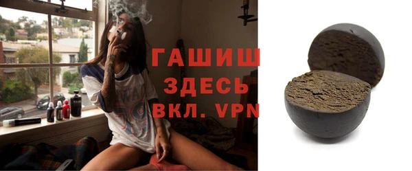 хмурый Аркадак