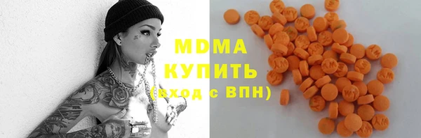 хмурый Аркадак