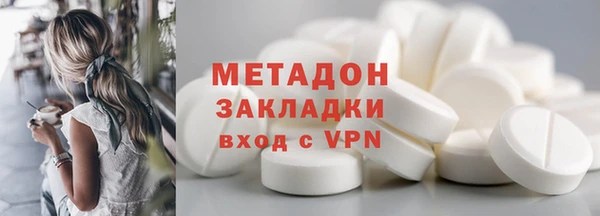 хмурый Аркадак