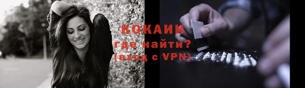 хмурый Аркадак