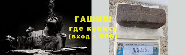 хмурый Аркадак