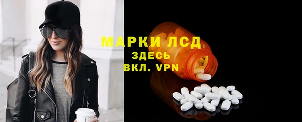 хмурый Аркадак