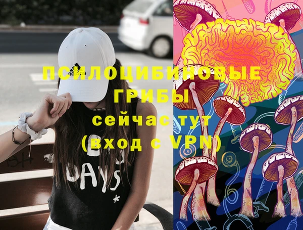 PSILOCYBIN Армянск