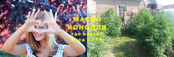 хмурый Аркадак