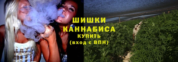 PSILOCYBIN Армянск