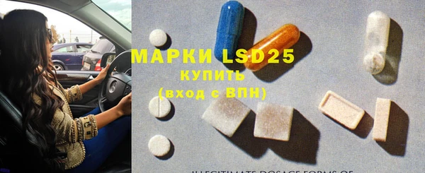 хмурый Аркадак