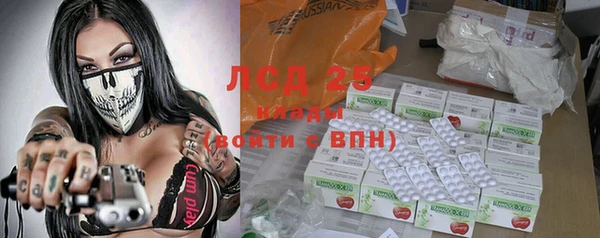 хмурый Аркадак