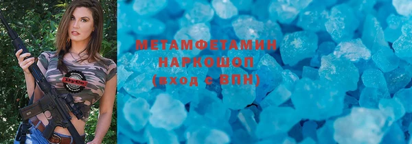 хмурый Аркадак